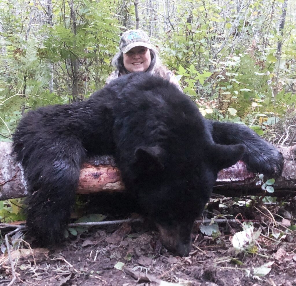 Guided Bear Hunting Minnesota