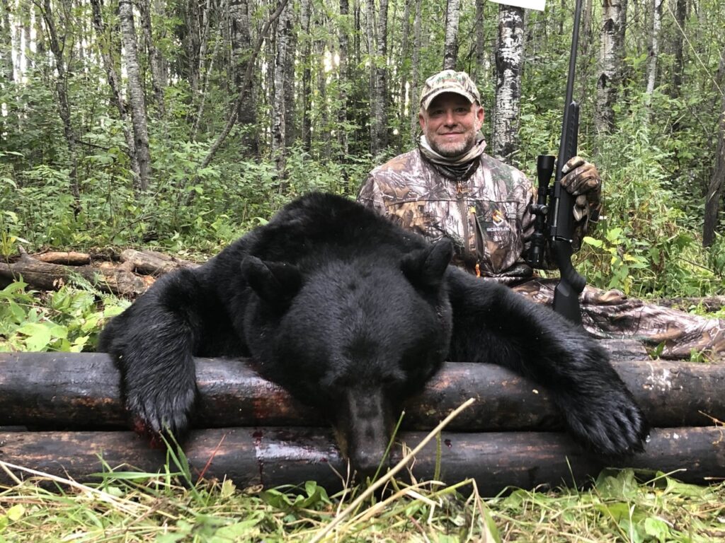 Bear Hunting Northern Minnesota